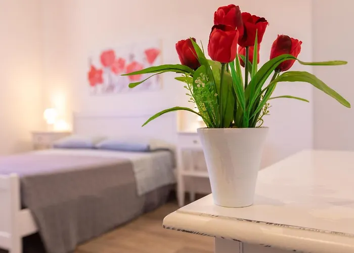 La Vecchia Tortuga 3*