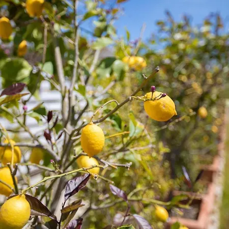 Bed & Breakfast La Vecchia Tortuga